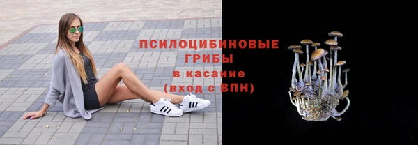 прущий лед Верея